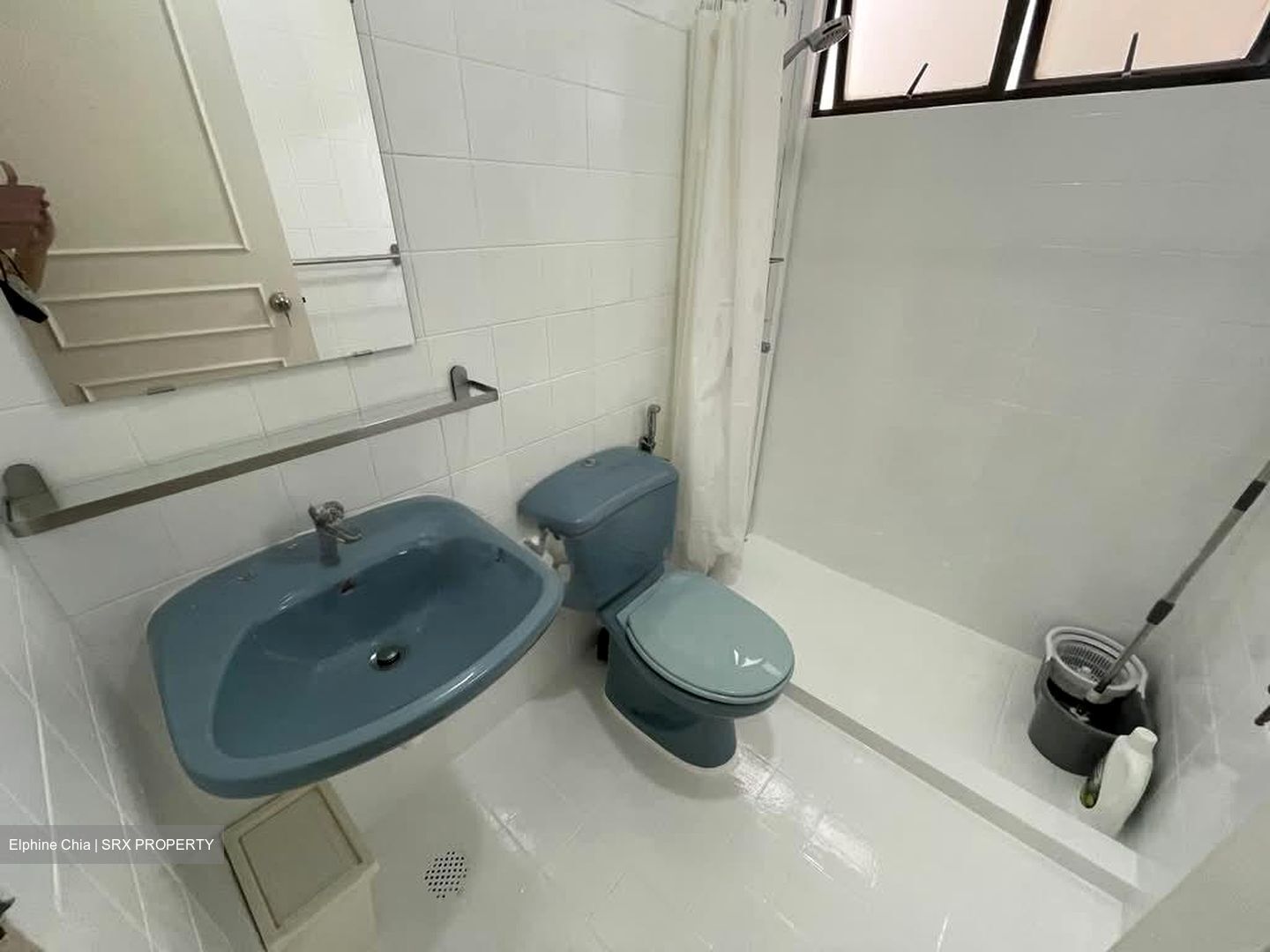Bayshore Park (D16), Condominium #566254641